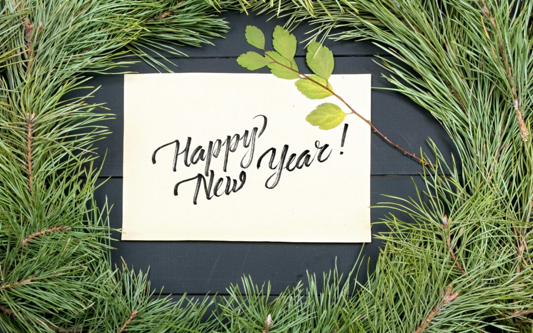 Happy New Year from Finding Solutions Together!